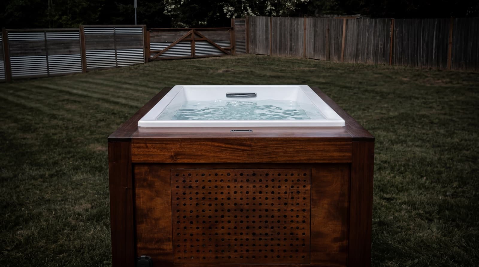 Mahogany cold plunge studio detail with dark surround and integrated basin